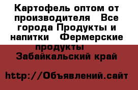 Картофель оптом от производителя - Все города Продукты и напитки » Фермерские продукты   . Забайкальский край
